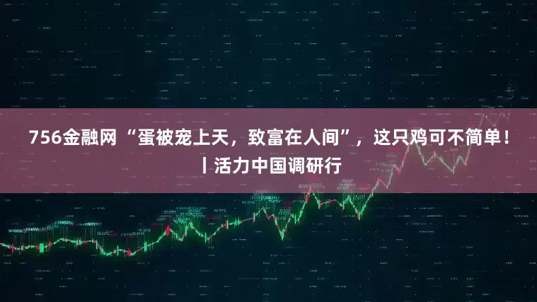 756金融网 “蛋被宠上天，致富在人间”，这只鸡可不简单！丨活力中国调研行