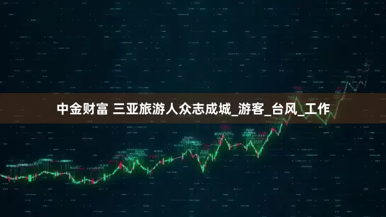 中金财富 三亚旅游人众志成城_游客_台风_工作